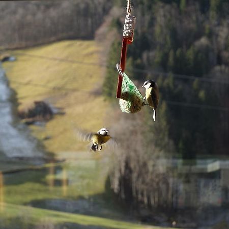 Garni-Gasthaus Elmer Matt Bagian luar foto